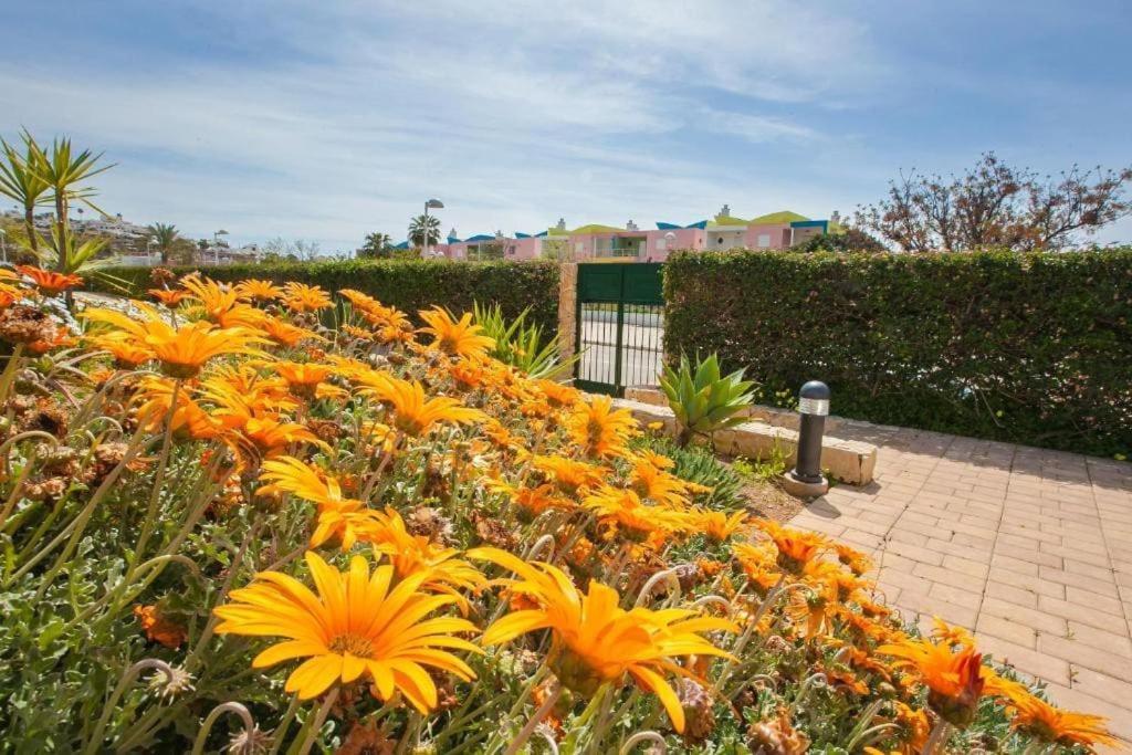 Jardins Da Marina Apartment *